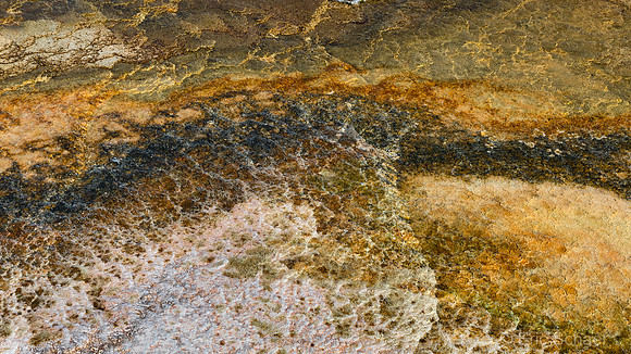 2020 Yellowstone Abstract-2657
