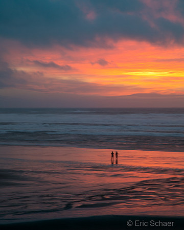 2020 Cannon Beach Oregon Coast-3687