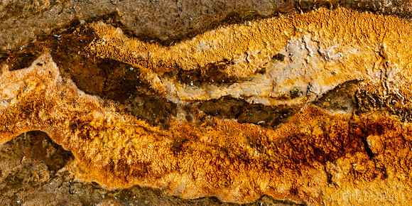 2020 Yellowstone Abstract-2910