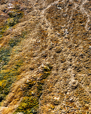 2020 Yellowstone Abstract-2665