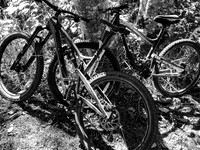 Black and White-2887