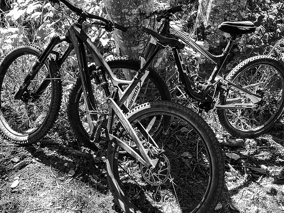 Black and White-2887