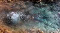 Yellowstone-2578