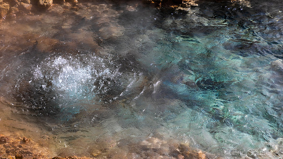 Yellowstone-2578