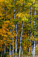 Leavenworth Washington- Wenatchee River Area