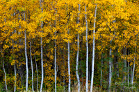 Leavenworth Washington- Wenatchee River Area