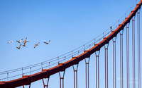 Golden Gate Bridge: San Francisco California