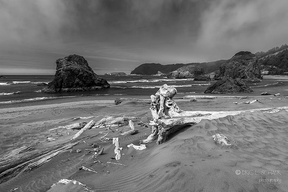 Meyers Creek Beach: Oregon