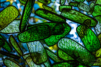 Titled "Union"'- Closeup of John Grade Studio artists Sculpture
