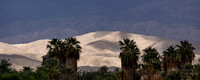 2025.10 Palm Springs Area