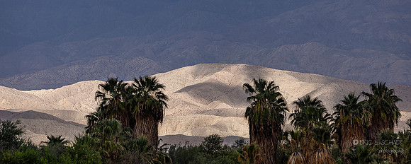Coachella Valley Preserve Hills- View NE from Desert Willow Resort