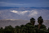 Coachella Valley Preserve Hills- View NE from Desert Willow Resort
