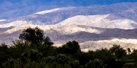 Coachella Valley Preserve Hills- View NE from Desert Willow Resort
