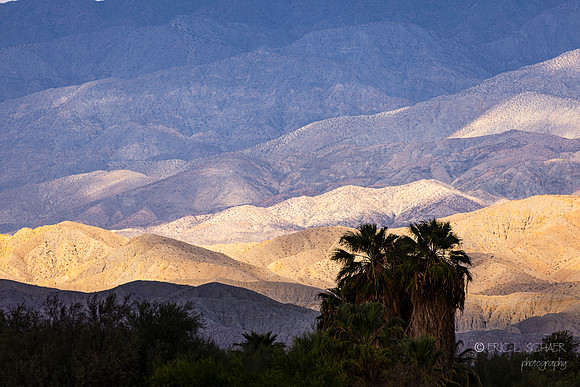 Coachella Valley Preserve Hills- View NE from Desert Willow Resort