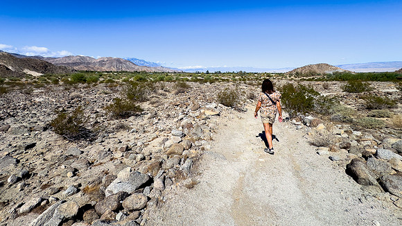 Adventure Loop Trail- The Living Desert Zoo & Gardens