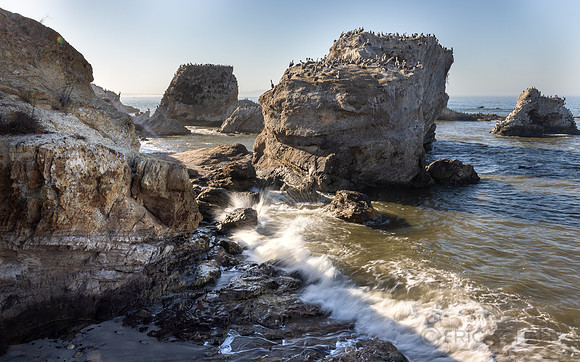 California- Pismo Beach Surf