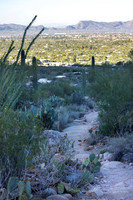 Linda Vista Trail- Tucson Arizona