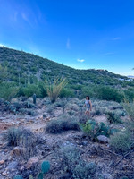 Linda Vista Trail- Tucson Arizona