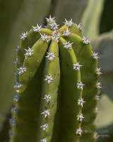 Reid Park Zoo- Tucson Arizona