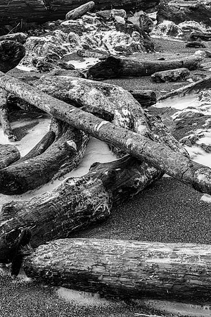 Yachats Rock Park Driftwood