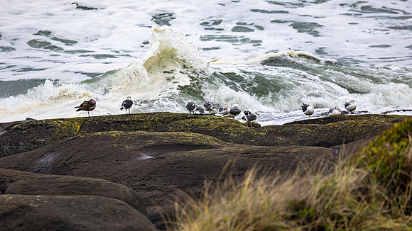 Yachats Overleaf Lodge Surf
