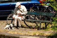 Amsterdam: Man and his dog