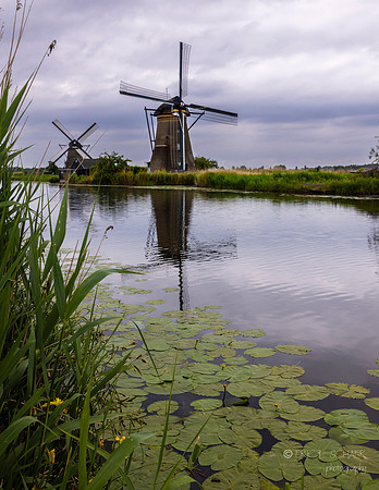 Kinderdijk Netherlands: Windmills