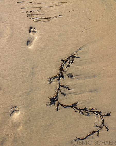 California- Pismo Beach 2