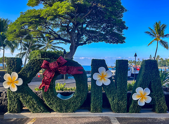 Kailua Kona Holiday display
