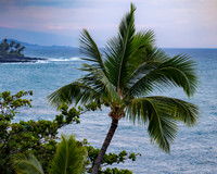 Royal Kona Resort- View to south from Alii Tower 4th floor