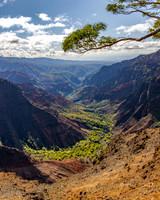Kauai: Canyon Lookout- Waimea Canyon