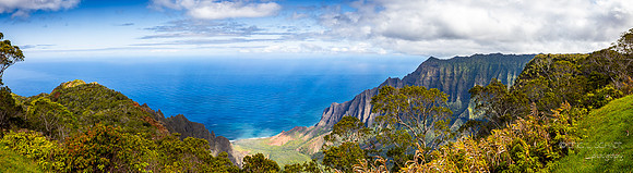 Kauai: Panorama view into Kalalau Valley & the Nāpali Coast from Pihea Trail- within Waimea Canyon