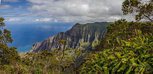 Kauai: Panorama view into Kalalau Valley & the Nāpali Coast from Pihea Trail- within Waimea Canyon