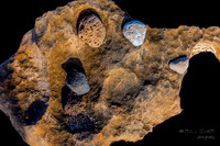 Kauai: Sand stone detail: Maha'ulepu Heritage Trail: Koloa (Near Poipu)