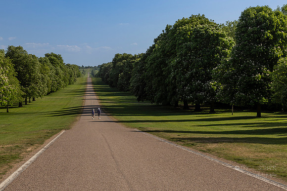 England: Windsor: Long walk road