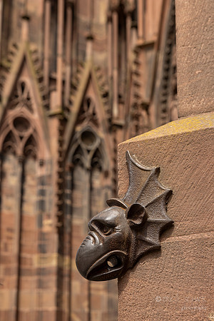 Strasbourg France: Strasbourg Cathedral: Canon Characteristic Gothic Architecture Gargoyle- Channel rainwater & ward off evil spirits
