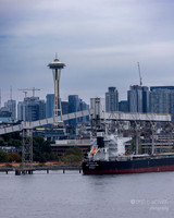 2025.07 Alaska Princess Cruise