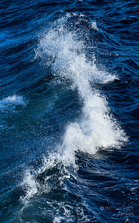 Day at sea