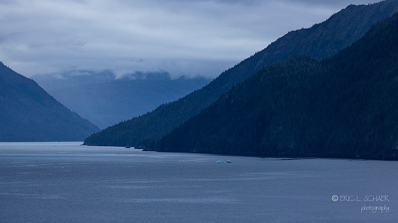 Endicott Arm- Early morning heading up to Dawes Glacier
