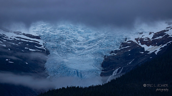 Endicott Arm: Valley (Land-terminating) Glacier
