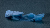Endicott Arm: Iceberg from Dawes Glacier