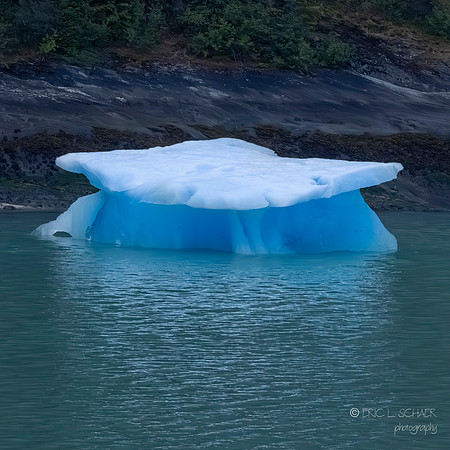 Endicott Arm: Iceberg from Dawes Glacier