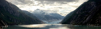 Endicott Arm and Dawes Glacier