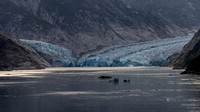 Endicott Arm and Dawes Glacier