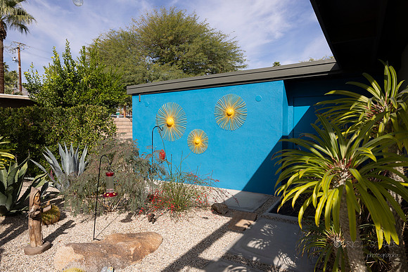 Canon- Palm Springs Mid Cent Modern Walk Tour