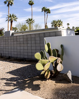 Canon- Palm Springs Mid Cent Modern Walk Tour