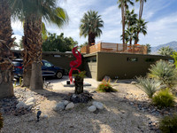 Canon- Palm Springs Mid Cent Modern Walk Tour
