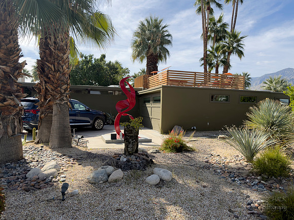 Canon- Palm Springs Mid Cent Modern Walk Tour