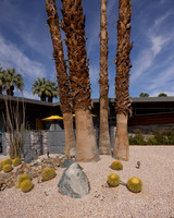 Canon- Palm Springs Mid Cent Modern Walk Tour