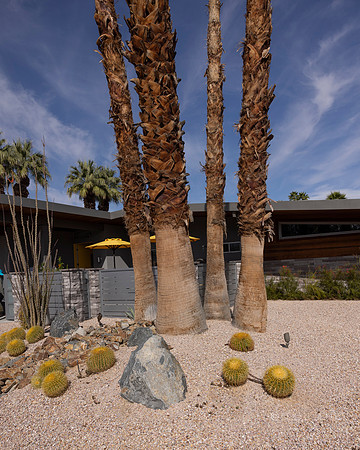 Canon- Palm Springs Mid Cent Modern Walk Tour